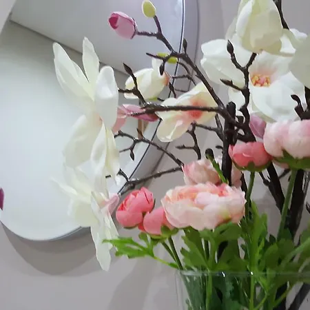 Campo Lindo Apartment Porto
